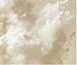 Powdery Option